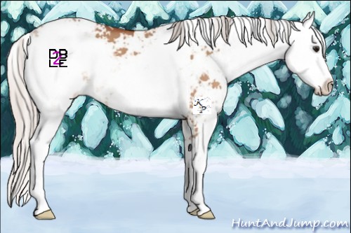 Horse Color:Silver Bay Dun Sabino