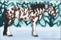 Horse Color:Brown Tobiano Near Leopard 