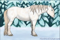Horse Color:Perlino Roan Dun Sabino Near Leopard 