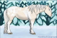 Horse Color:Cremello Tobiano Blanket 