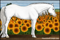 Horse Color:Silver Smoky Black Appaloosa 