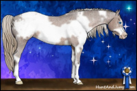 Horse Color:White Spotted Liver Chestnut Frame Appaloosa 