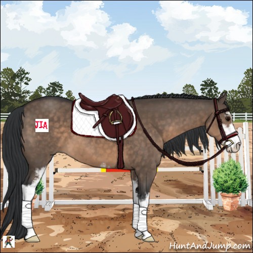 Horse Color:Brown Dun Sabino 