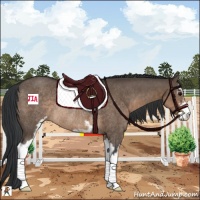 Horse Color:Brown Dun Sabino Rabicano