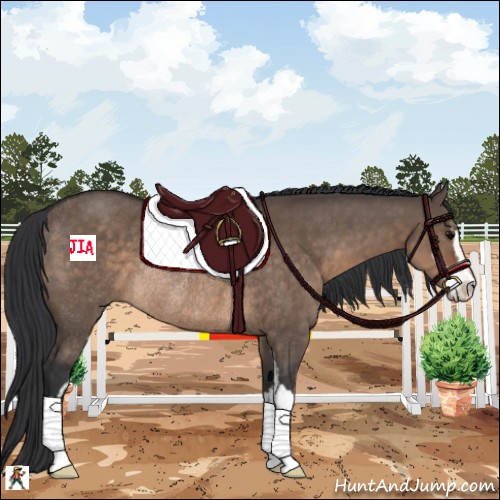 Horse Color:Brown Dun Sabino Rabicano 