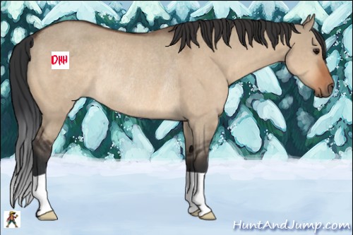 Horse Color:Bay Dun Rabicano 