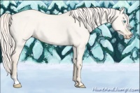 Horse Color:Cremello Dun 