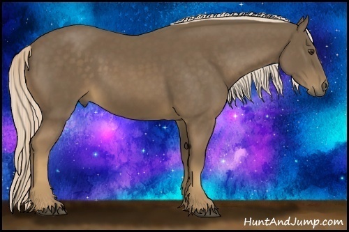 Horse Color:Chocolate Palomino 