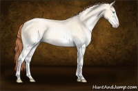 Horse Color:White Spotted Amber Champagne Pearl Dun Rabicano 