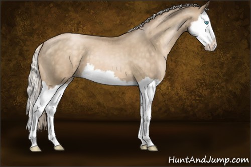 Horse Color:Chocolate Palomino Pearl Splash 