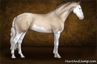 Horse Color:Chocolate Palomino Pearl Splash 