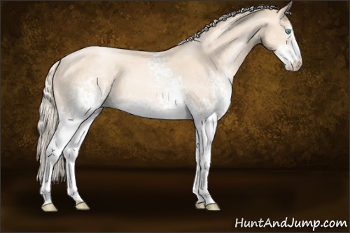 Horse Color:White Spotted Gold Cream Champagne Pearl