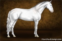 Horse Color:Cremello Splash 