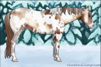 Horse Color:White Spotted Red Onyx