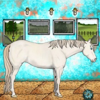 Horse Color:Perlino Dun 