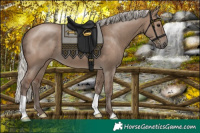 Horse Color:Silver Grullo 