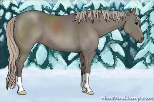 Horse Color:Silver Black 