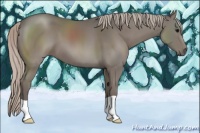 Horse Color:Silver Black 