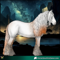 Horse Color:Gray Watercolor Liver Chestnut Ice Appaloosa 