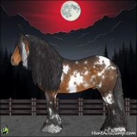 Horse Color:White Spotted Buckskin 