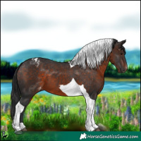 Horse Color:Brown Tobiano Varnish 