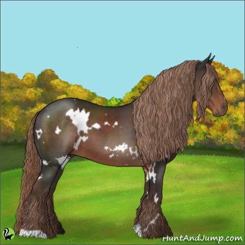 Horse Color:White Spotted Liver Chestnut