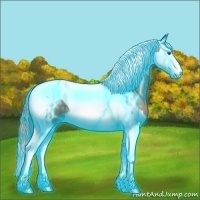 Horse Color:Thunderstruck Black Ice Pearl Sabino Splash Tobiano 