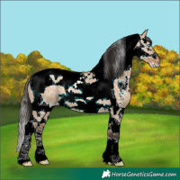 Horse Color:Bay Ice Dun Sabino Splash Tobiano