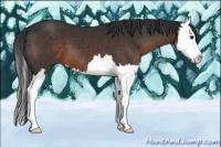 Horse Color:Brown Sabino Splash 
