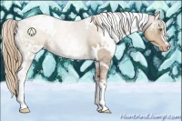 Horse Color:White Spotted Liver Chestnut Ice Pearl Appaloosa 