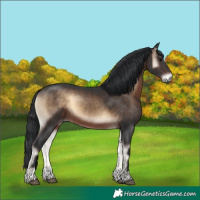 Horse Color:Brown Onyx 