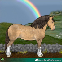 Horse Color:White Spotted Sable Cream Champagne