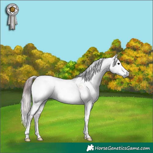 Horse Color:Gray Platinum White Spotted Chocolate Brown Onyx 
