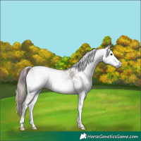 Horse Color:Gray Platinum White Spotted Chocolate Brown Onyx 