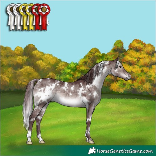 Horse Color:Platinum White Spotted Chocolate Brown Dun