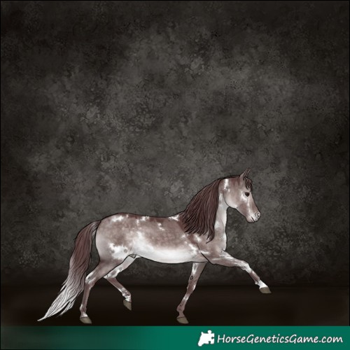 Horse Color:Platinum White Spotted Chocolate Brown Dun 