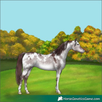 Horse Color:Platinum White Spotted Chocolate Brown Dun 