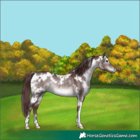 Horse Color:Platinum White Spotted Chocolate Brown Dun 