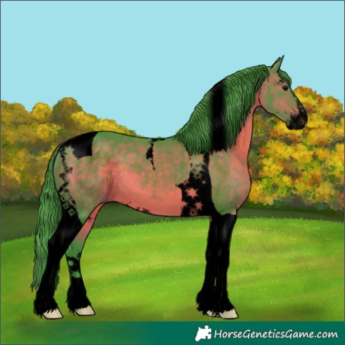 Horse Color:Void Watercolor Brown Sabino Tobiano 