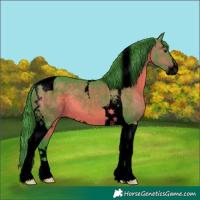 Horse Color:Void Watercolor Brown Sabino Tobiano 