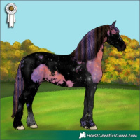 Horse Color:Void Painted Watercolor Brown Splash Tobiano