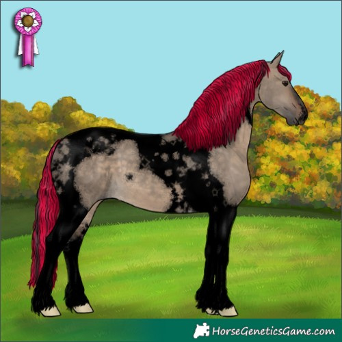 Horse Color:Void Painted Brown Dun Tobiano 