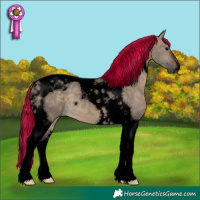 Horse Color:Void Painted Brown Dun Tobiano 