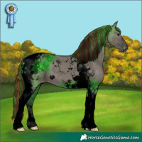 Horse Color:Void Painted Grullo Tobiano Appaloosa 