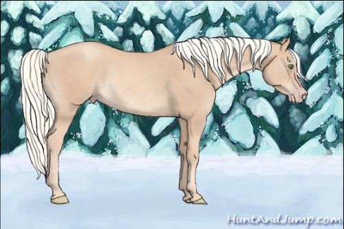 Horse Color:Gold Champagne Mushroom Rabicano 