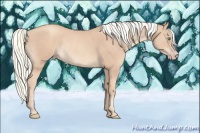 Horse Color:Gold Champagne Mushroom Rabicano
