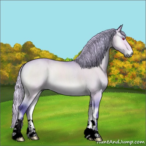 Horse Color:Watercolor Silver Bay Chinchilla Onyx 
