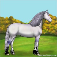 Horse Color:Watercolor Silver Bay Chinchilla Onyx 