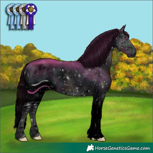 Horse Color:ERROR: UNKNOWN ANOMALY