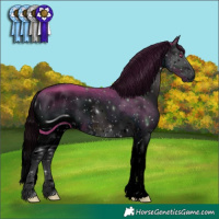 Horse Color:ERROR: UNKNOWN ANOMALY